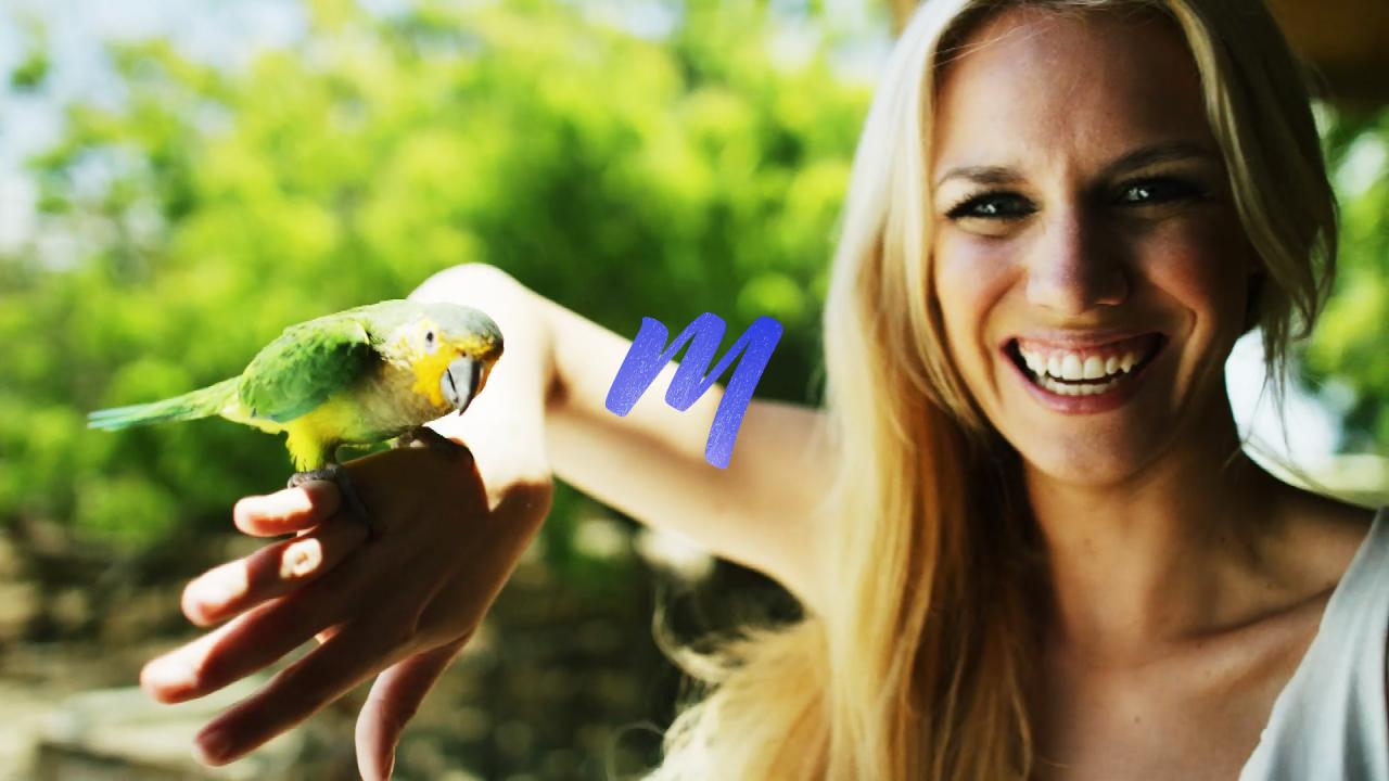 Die Nachrichtenmoderatorin Sandra Schneiders erfreut sich an einem wilden Papagei, der ihr am Strand von Curacao auf die Hand geflogen ist.